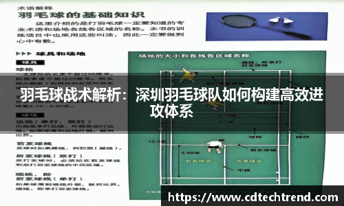 羽毛球战术解析：深圳羽毛球队如何构建高效进攻体系